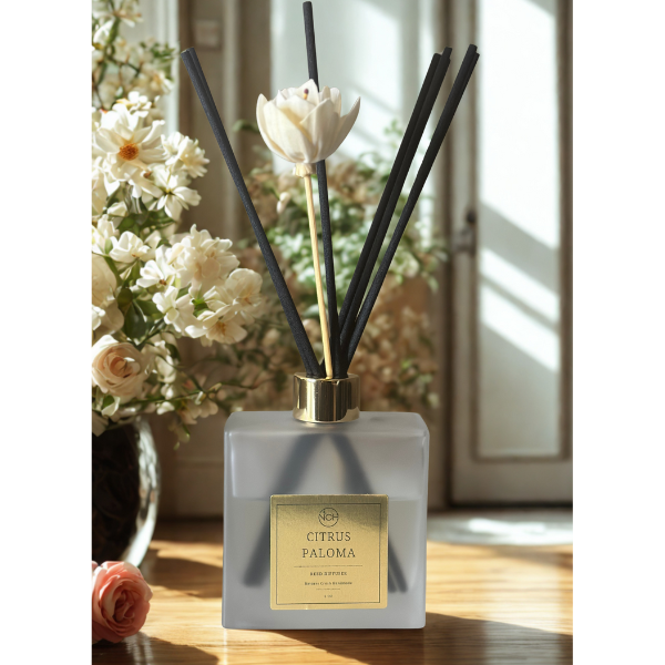 Room Diffuser